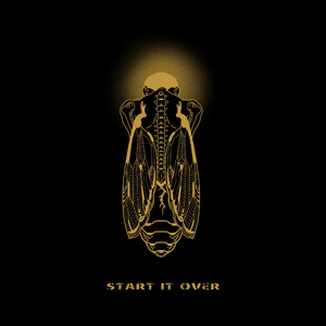 特毛AAAAAAAAAAA片
