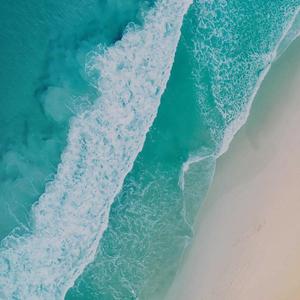 特毛AAAAAAAAAAA片
