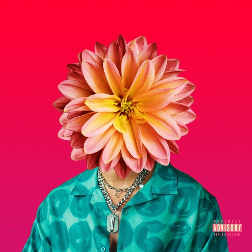 特毛AAAAAAAAAAA片
